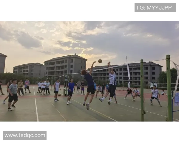 武汉排球队的精神与团队意识探讨：排球运动中的凝聚力与奋斗精神